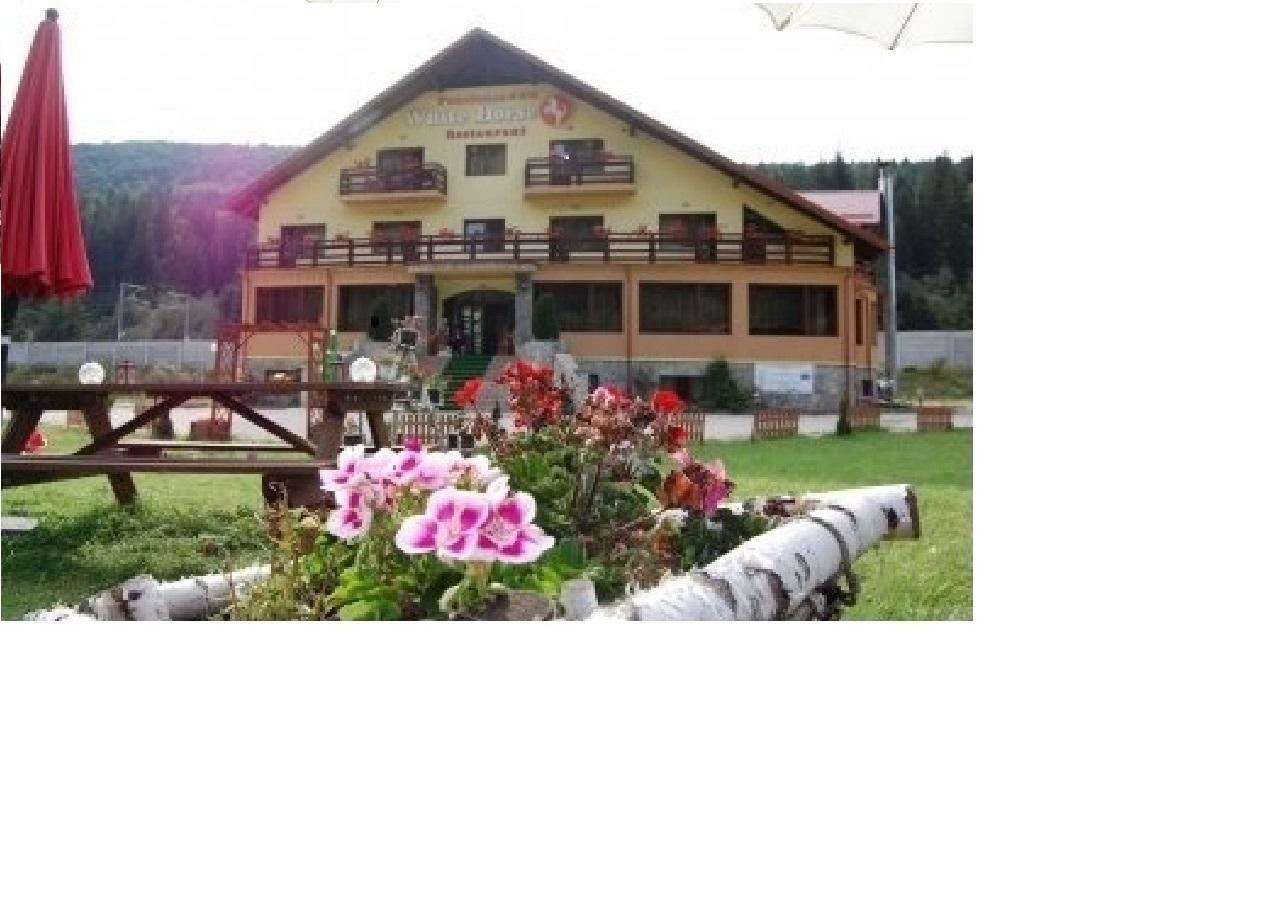 Hotel White Horse Predeal Zewnętrze zdjęcie